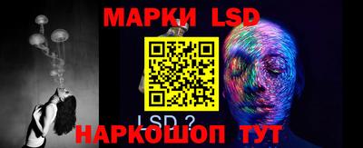 прущие грибы Ставрополь