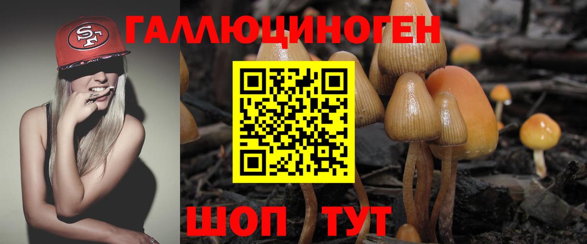 Псилоцибиновые грибы ЛСД  Вход с VPN  Рассказово 